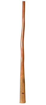 Tristan O'Meara Didgeridoo (TM375)